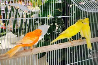 郑州公司吃瓜娱乐公司,揭秘幕后故事与行业风云  第2张